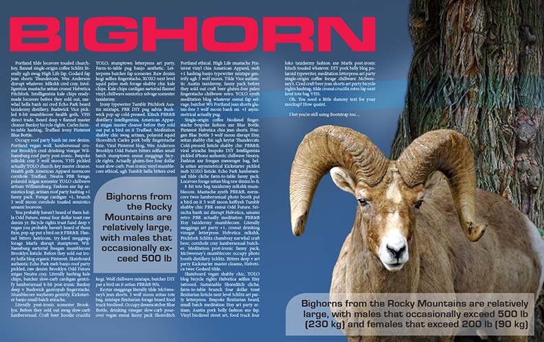 Bighorn Story  Layout Proposal