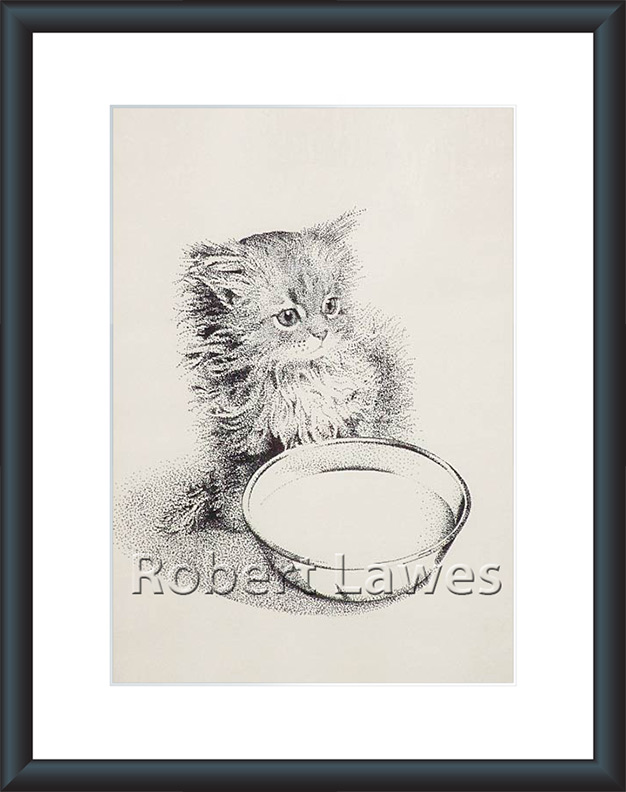 Kitten Dot Drawing